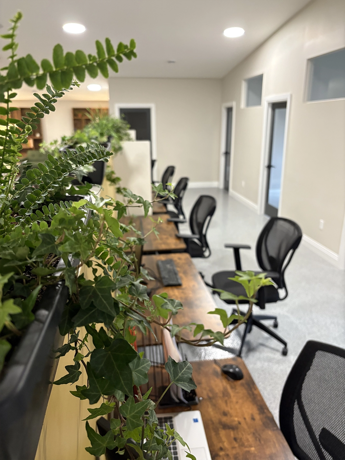 The Loft -  Co-working Elevated